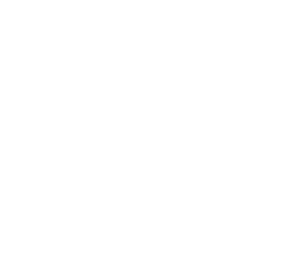 Roque Properties